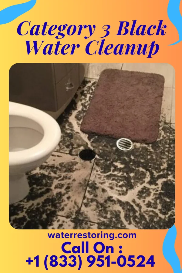 Category 3 Black Water Cleanup in Shiloh, GA